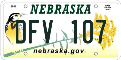 NE license plate DFV107