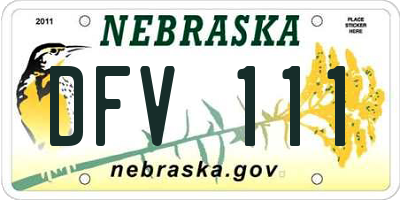 NE license plate DFV111