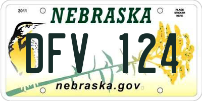 NE license plate DFV124