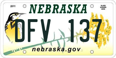 NE license plate DFV137