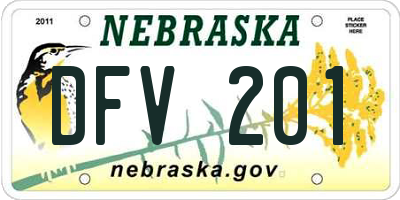NE license plate DFV201