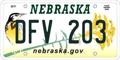 NE license plate DFV203