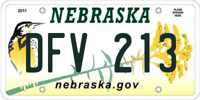 NE license plate DFV213