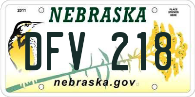 NE license plate DFV218