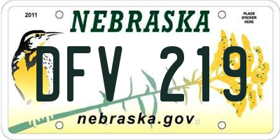 NE license plate DFV219