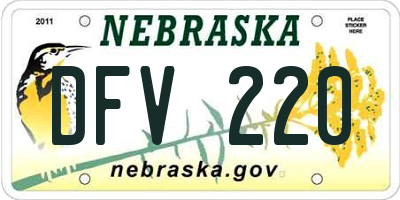 NE license plate DFV220