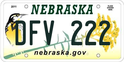 NE license plate DFV222
