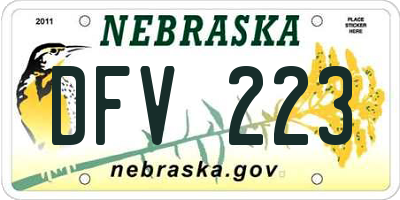 NE license plate DFV223