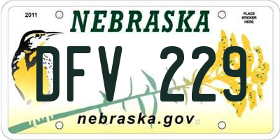 NE license plate DFV229