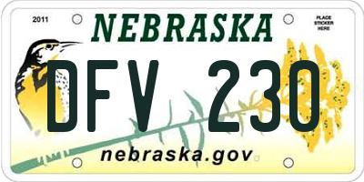 NE license plate DFV230