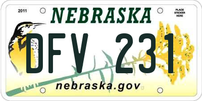 NE license plate DFV231