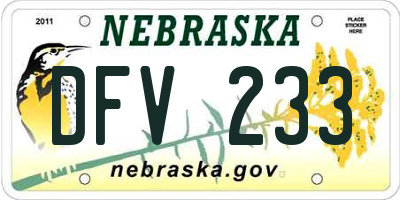 NE license plate DFV233