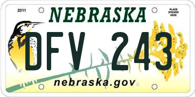 NE license plate DFV243