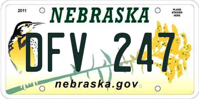 NE license plate DFV247