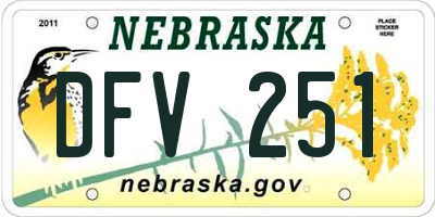 NE license plate DFV251
