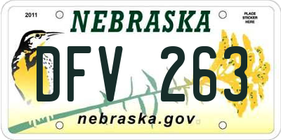 NE license plate DFV263