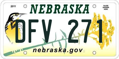 NE license plate DFV271