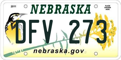 NE license plate DFV273