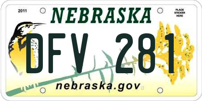 NE license plate DFV281