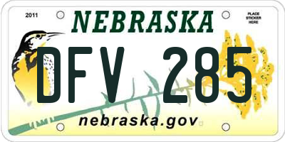 NE license plate DFV285