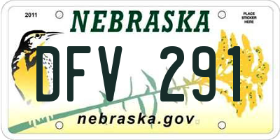 NE license plate DFV291