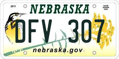 NE license plate DFV307