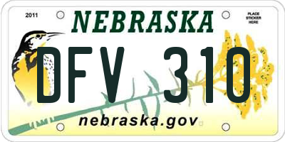 NE license plate DFV310