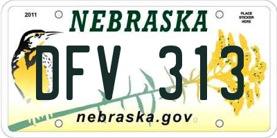 NE license plate DFV313