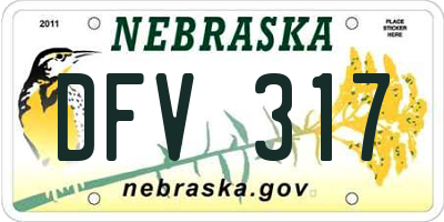 NE license plate DFV317