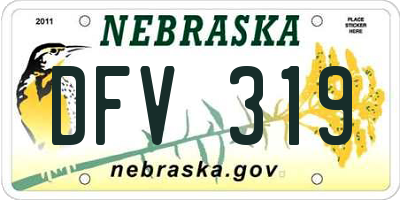 NE license plate DFV319