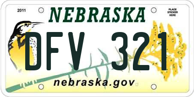 NE license plate DFV321