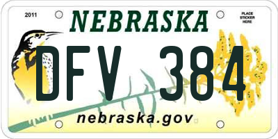 NE license plate DFV384