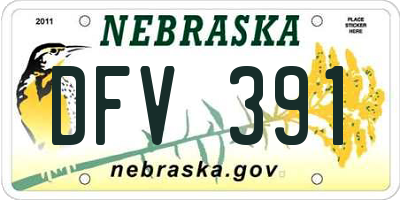 NE license plate DFV391