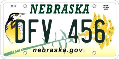 NE license plate DFV456