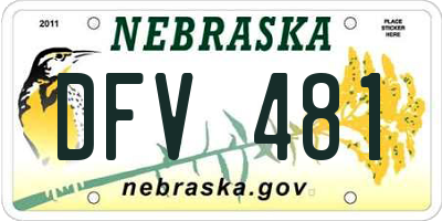 NE license plate DFV481