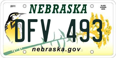 NE license plate DFV493
