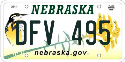 NE license plate DFV495