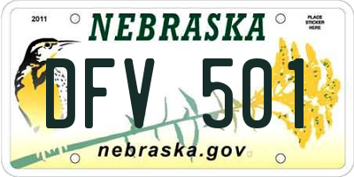 NE license plate DFV501