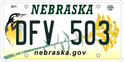 NE license plate DFV503