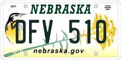 NE license plate DFV510