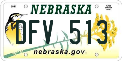 NE license plate DFV513