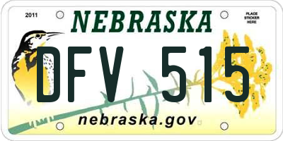 NE license plate DFV515