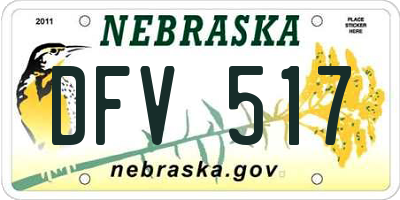 NE license plate DFV517