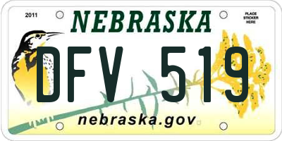 NE license plate DFV519