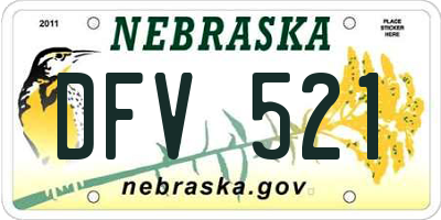 NE license plate DFV521