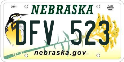 NE license plate DFV523