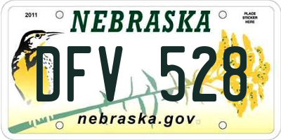 NE license plate DFV528