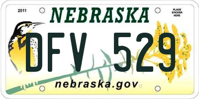 NE license plate DFV529