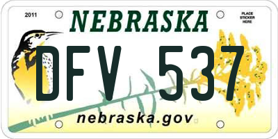 NE license plate DFV537