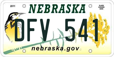 NE license plate DFV541
